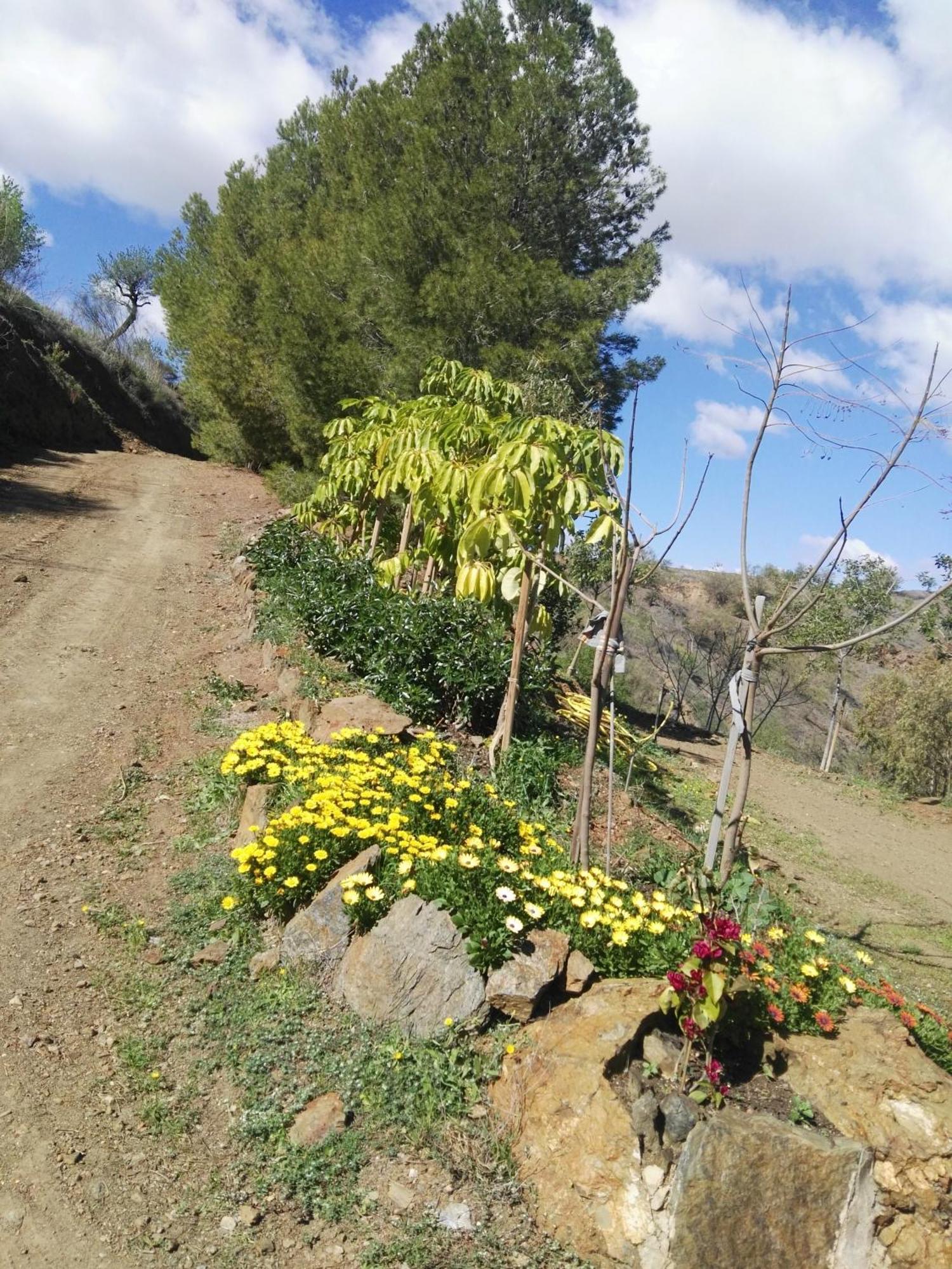 Pinar El Almendra Villa Málaga Exterior foto