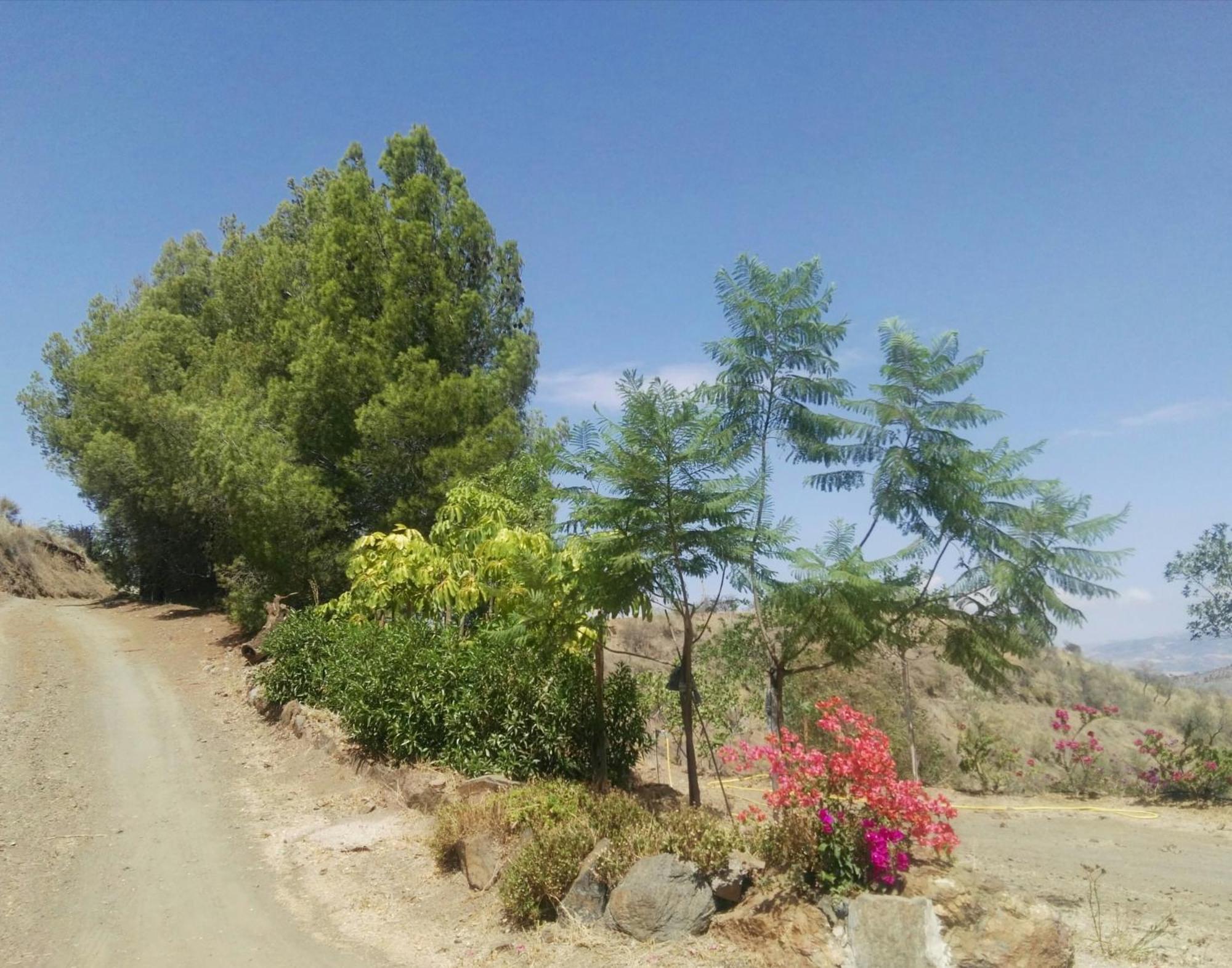 Pinar El Almendra Villa Málaga Exterior foto
